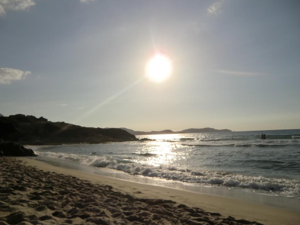 Camping International Calvi  Bagian luar foto