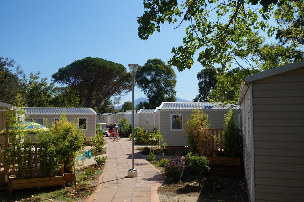 Camping International Calvi  Bagian luar foto