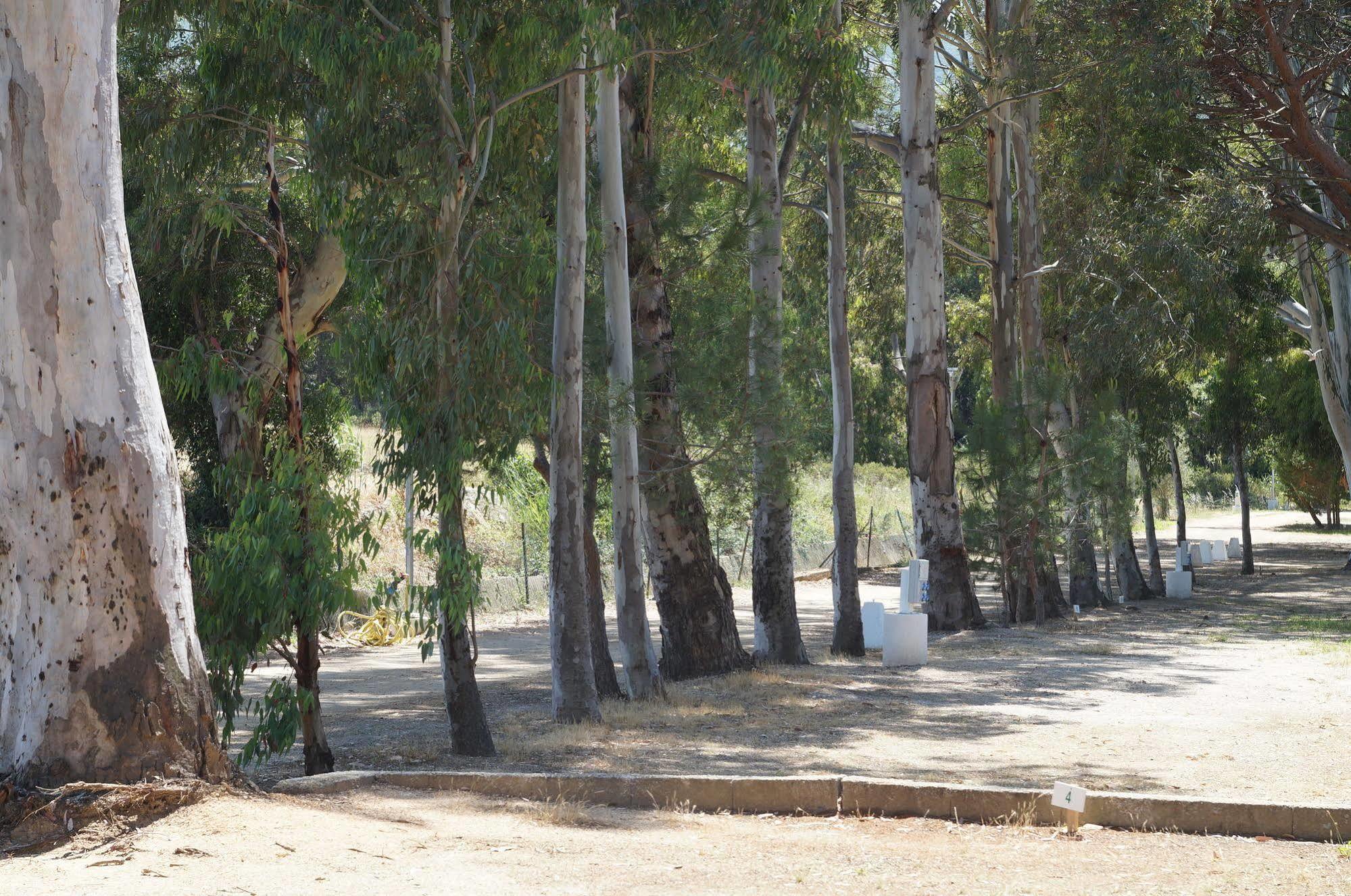 Camping International Calvi  Bagian luar foto