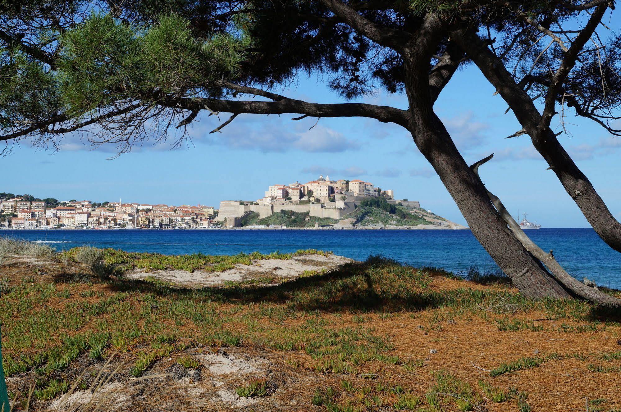 Camping International Calvi  Bagian luar foto