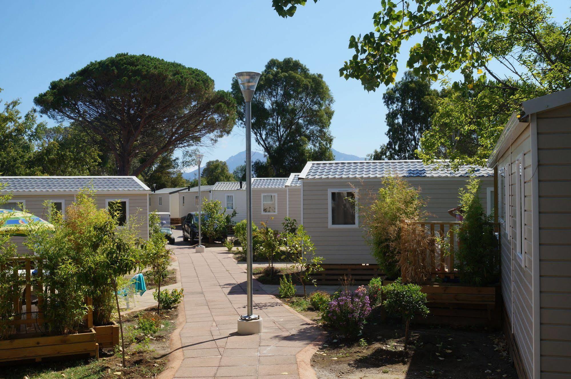 Camping International Calvi  Bagian luar foto