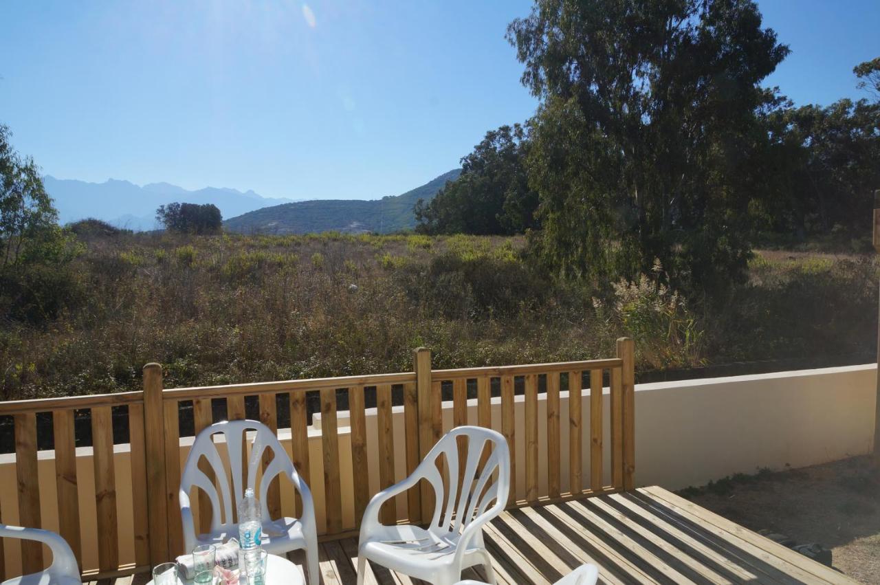 Camping International Calvi  Bagian luar foto